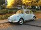 1965 Beetle in Excellent Conddition
