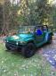 Completed Wombat Car on 1970 VW Pan