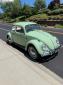 1962 VW Beetle - Rare Euro Model