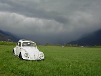 Green Grassy Landscape