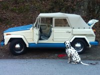 VW Dogs